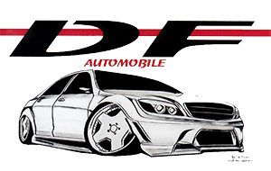 DF-Automobile: Ihre Autowerkstatt in Geesthacht